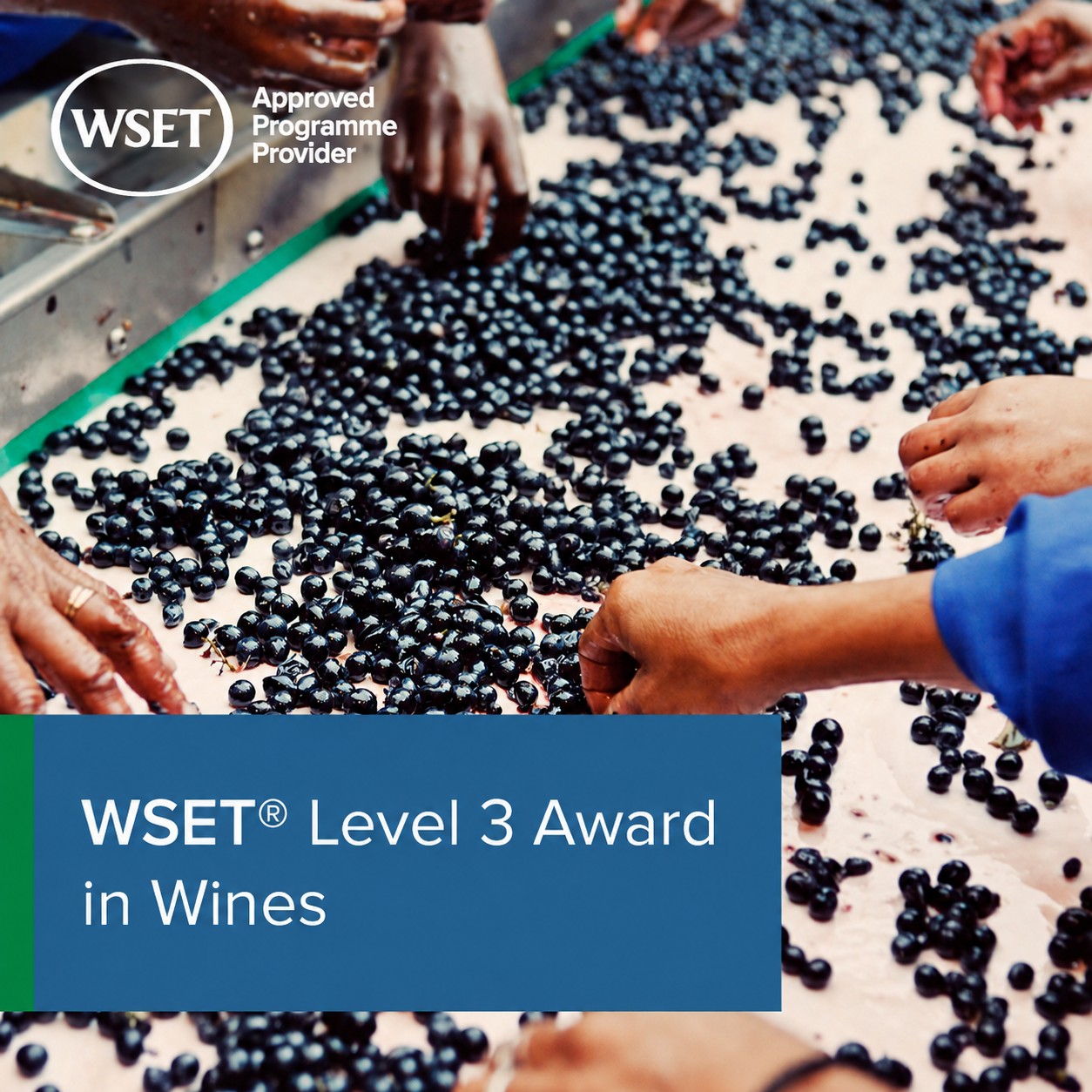Corso WSET Livello 3