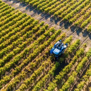 Alla scoperta del Sudamerica